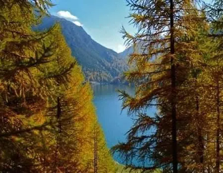 Panoramic *