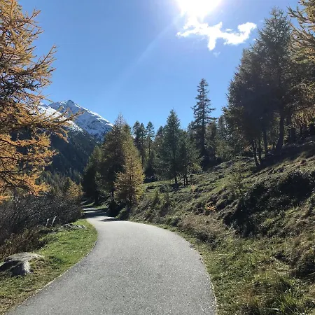 Panoramic *