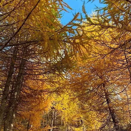 Panoramic Appartamento *